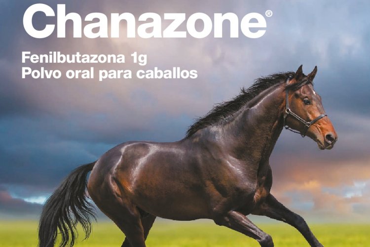 AFECCIONES MÚSCULOESQUELÉTICAS EN CABALLOS